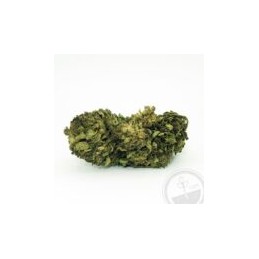 Fleur de CBD Amnesia SeedWell® - Fleurs de cannabis sativa naturelles