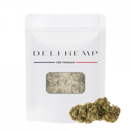 Fleur de CBD OG Kush Indoor de qualité premium, cultivée en intérieur, taux élevé de CBD