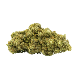 Fleurs CBD Strawberry Haze - Arômes fruités de fraise des bois, qualité premium