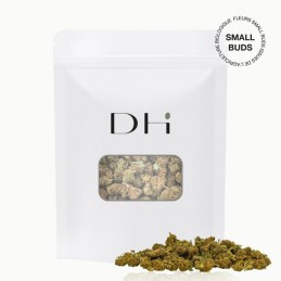 Fleur CBD Amnesia Small Bud Indoor - Fleurs de CBD cultivées en intérieur - Qualité premium