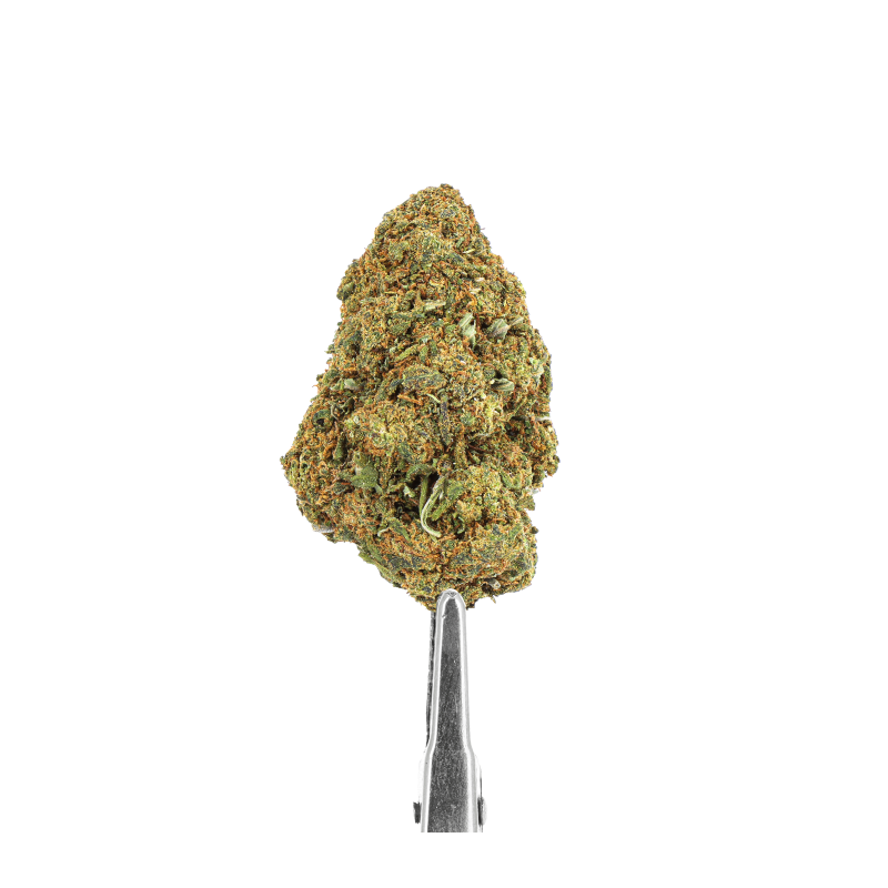 Fleur CBD Lemon OG Indoor - Fleur riche en CBD, saveur citronnée, cultivée en intérieur