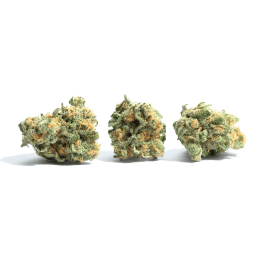 Fleurs CBD Mango Small Bud - Cannabis Légal de qualité supérieure à prix abordable