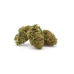 Fleur de CBD Amnesia 3g - Premium Sativa Indoor