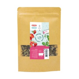 Infusion Thé Vert Fraise Menthe CBD - Saveurs fruitées et fraîches avec 20% de chanvre