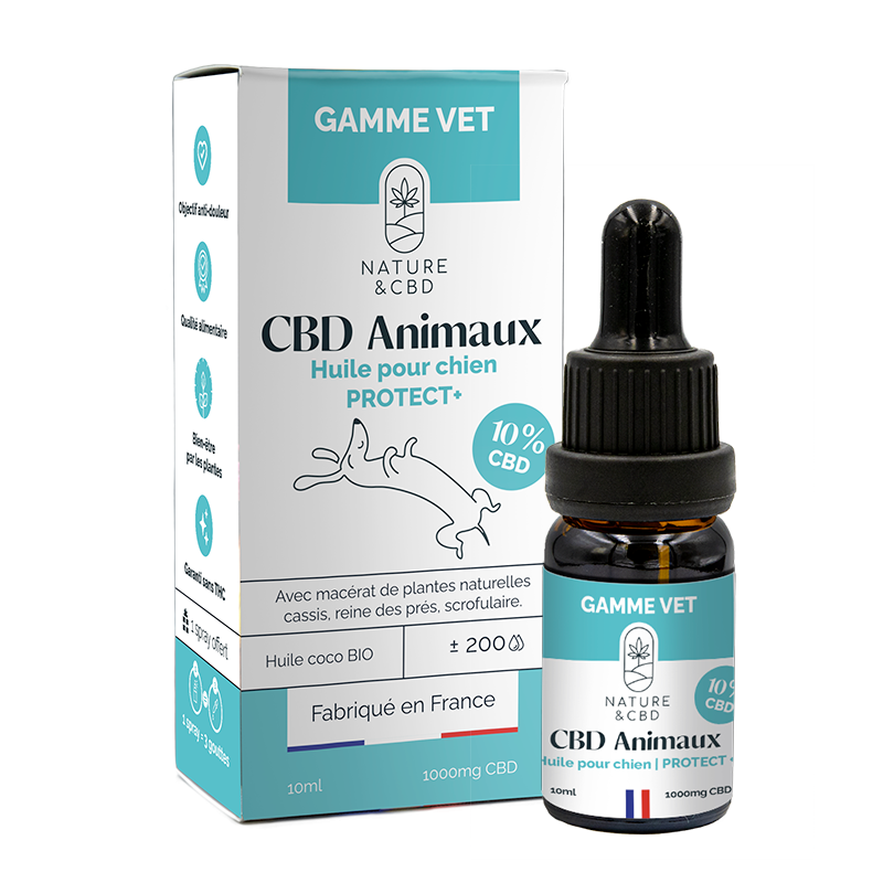 Huile CBD Protect+ 10% pour chiens - Anti-inflammatoire naturel et mobilité animale"