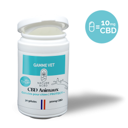 Gélules CBD Chien Protect+ 10mg - Soutien immunitaire et anti-inflammatoire pour chien