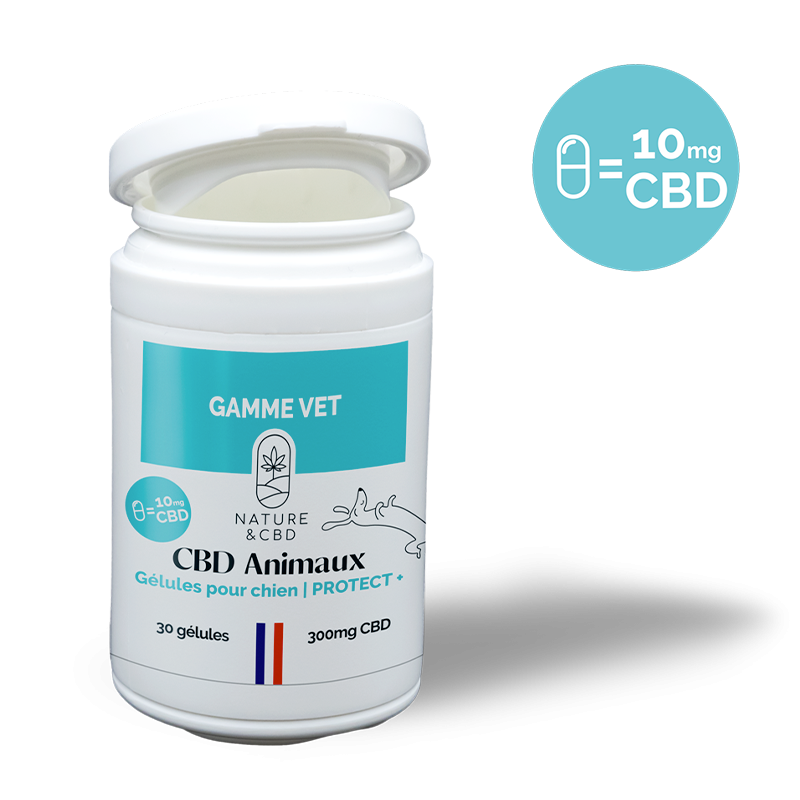 Gélules CBD Chien Protect+ 10mg - Soutien immunitaire et anti-inflammatoire pour chien