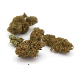 Fleur CBD Master Kush - Notes boisées et épicées, 8.7% de CBD, Green Love