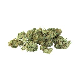 Fleur de Gelato CBD Bio 15% – Fleurs apaisantes et relaxantes au goût biscuité et mentholé