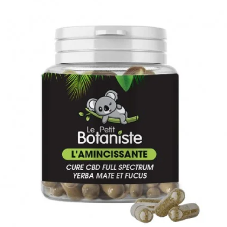 Gélules CBD L'Amincissante pour perdre du poids, contenant du Yerba Maté, du Fucus et du CBD full spectrum