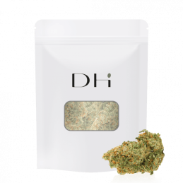 Fleur de CBD Girl Scout Cookies avec pistils orange et trichomes riches